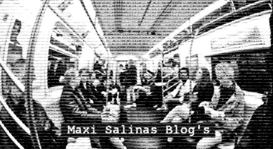 Maxi Salinas Blog's