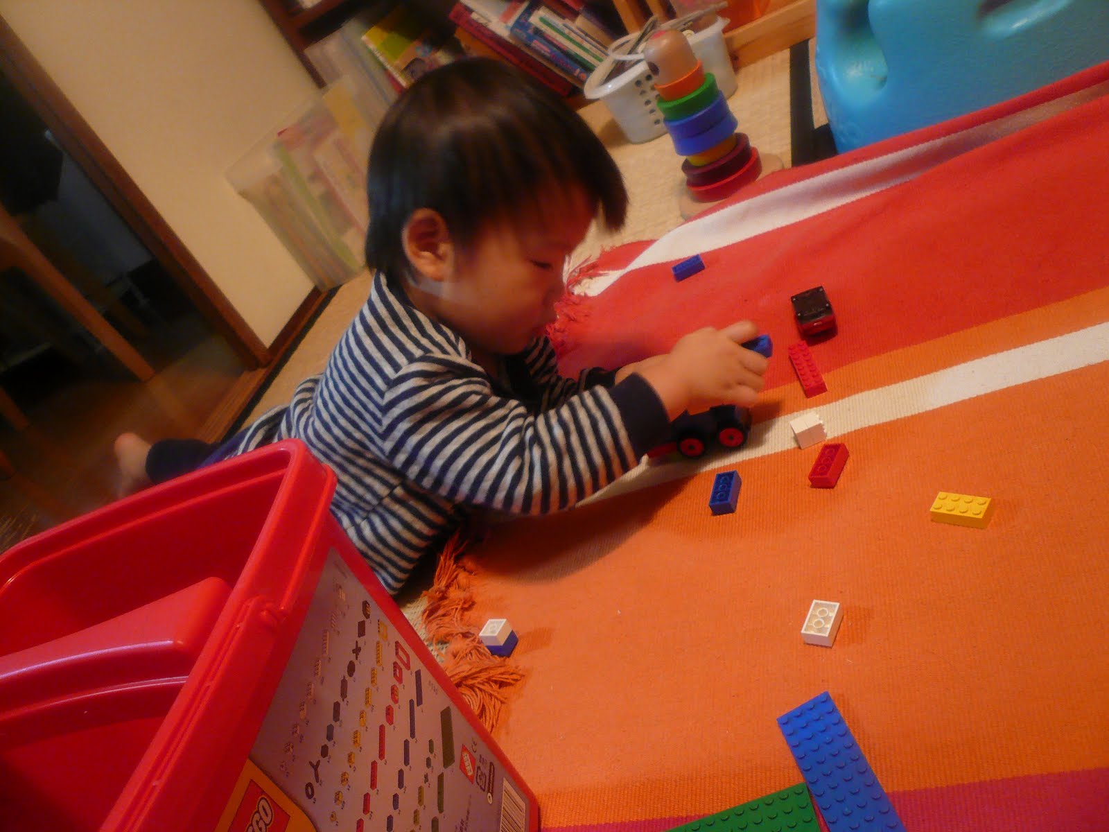 [P1030828.JPG]