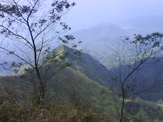 http://3.bp.blogspot.com/_Co9PwR7n2-A/SIc4_kADjzI/AAAAAAAAAI0/8VTeXuiqFik/s320/DSC00745.JPG