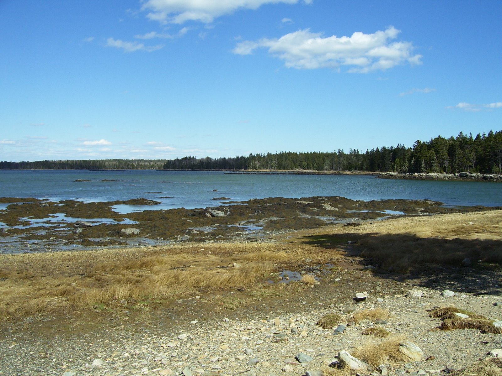 [100_0769.JPG]