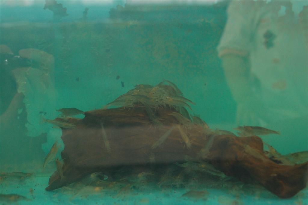 [DSC_0153.JPG]