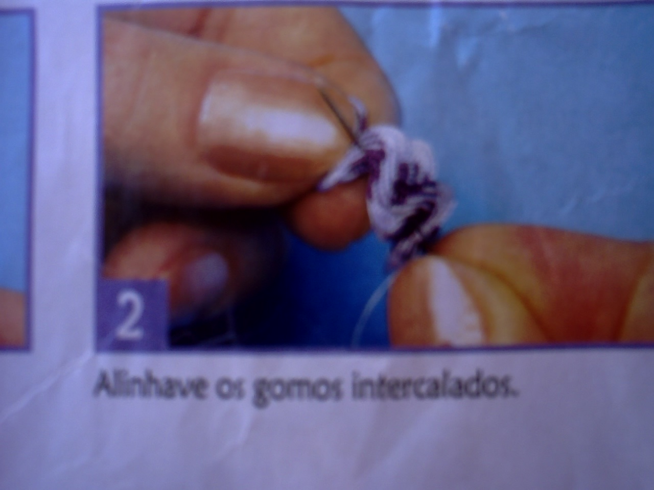 [CRIM0231.JPG]