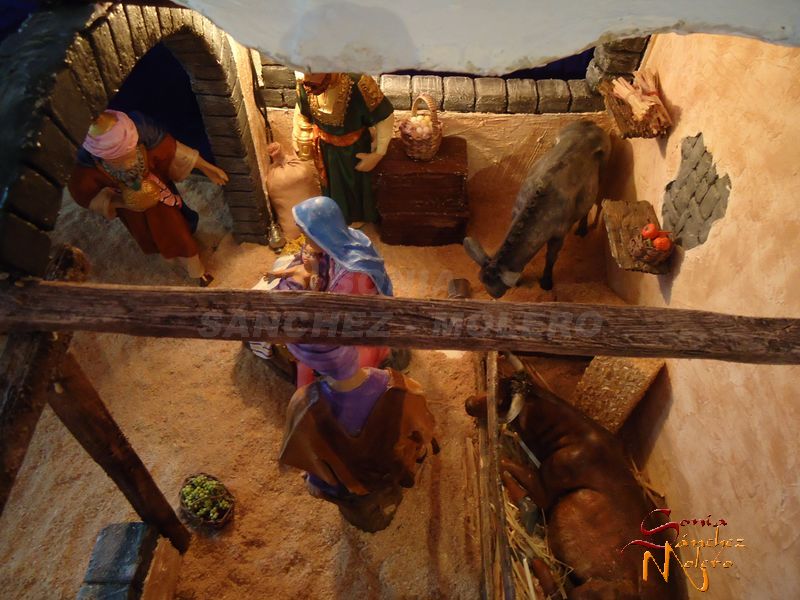 Nacimiento Crivi 016
