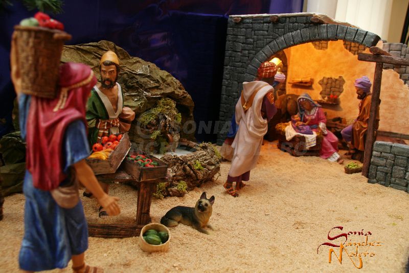 Nacimiento Crivi 006