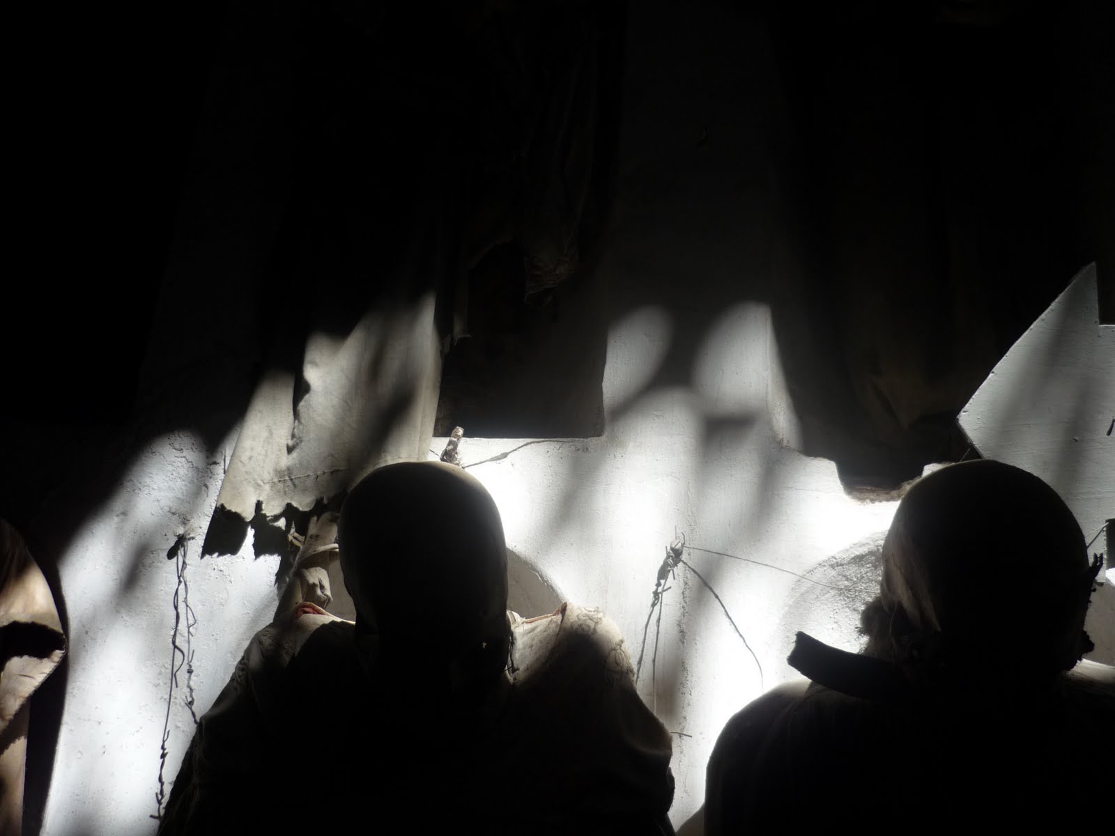 roscoe and timmy: I see dead people