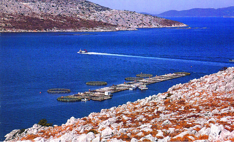 [ydatokalliergeies.jpg]