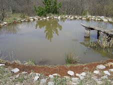 Permaculture institute