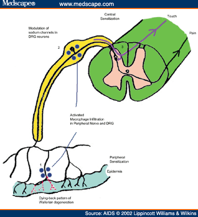 [art-445189.fig4.gif]