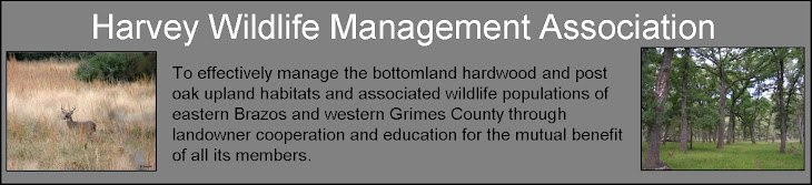 Harvey Wildlife Management Association