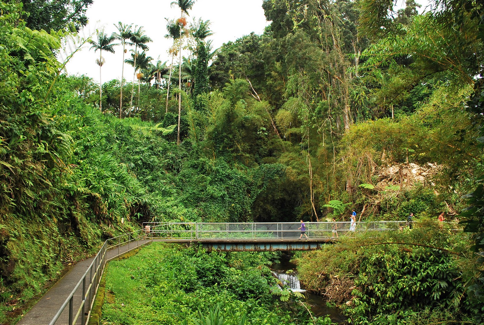 Akaka State Park
