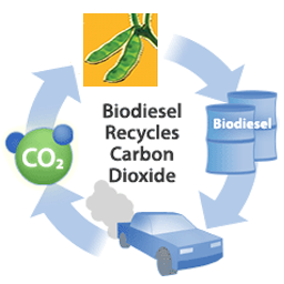 [biodiesel_cycle.png]