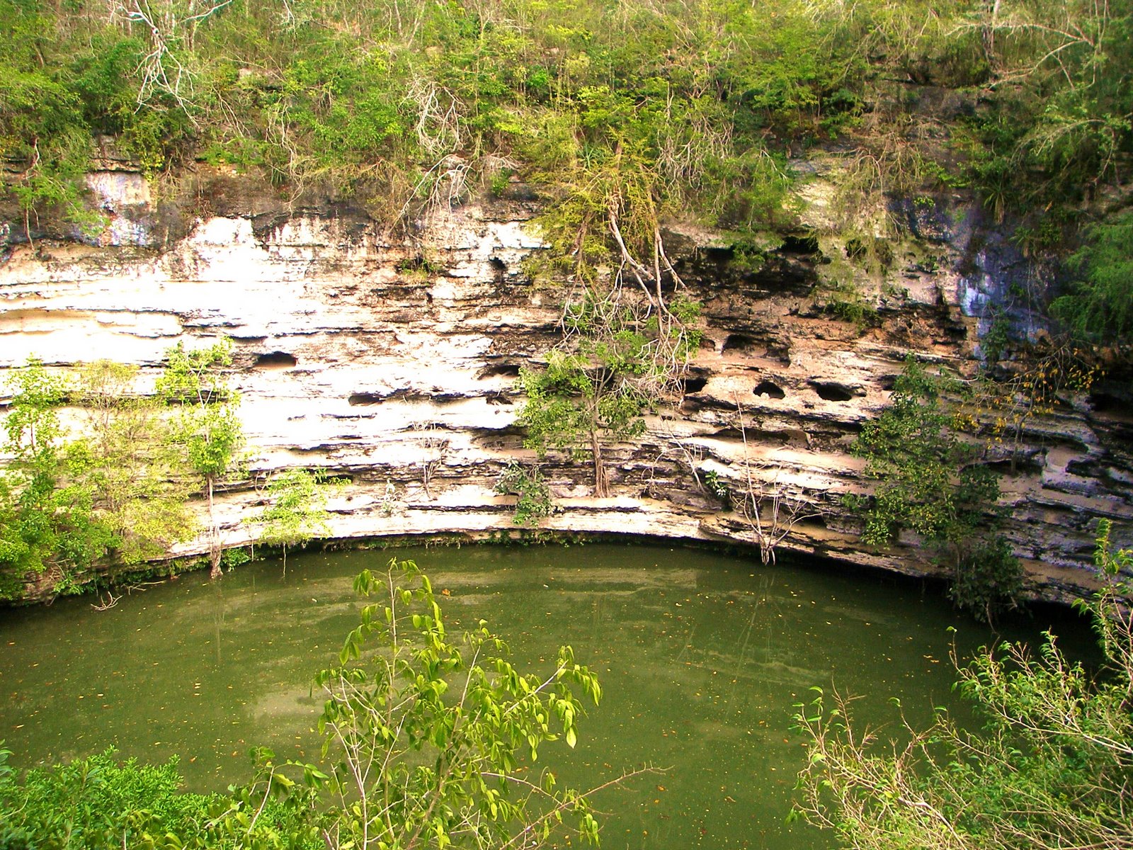 [PIC00288.JPG]