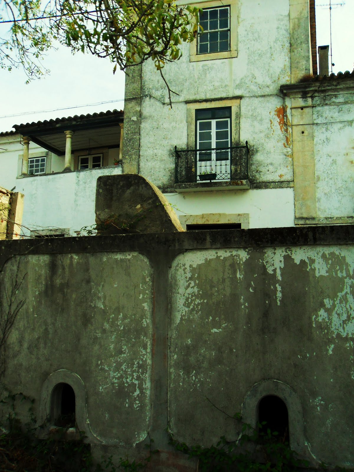 [SDC10022+-+Cópia.JPG]