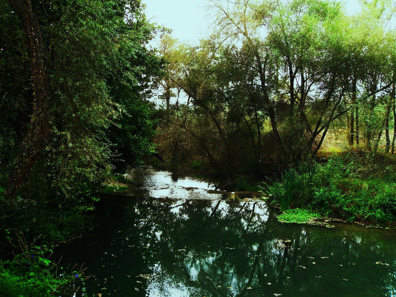 [SDC10002+-+Cópia.JPG]