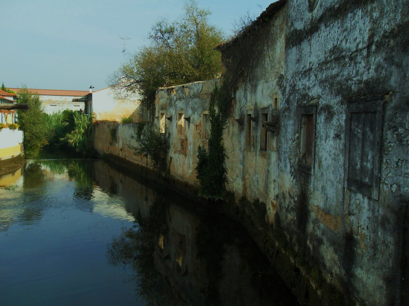 [SDC10016+-+Cópia.JPG]
