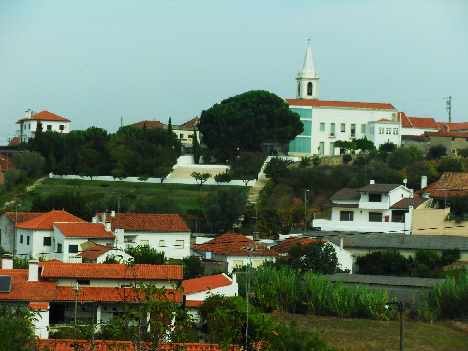 [SDC10030+-+Cópia.JPG]