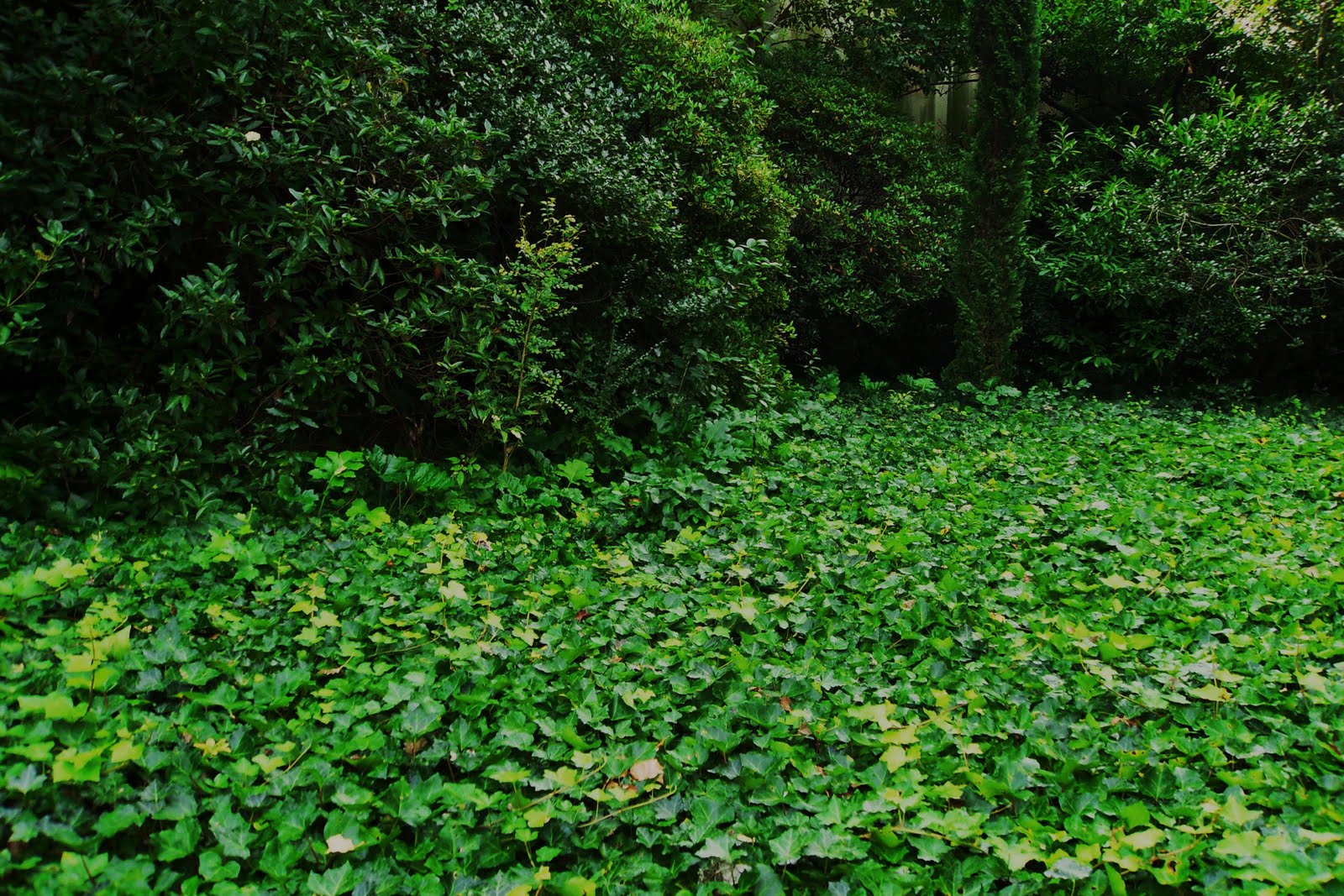 [SDC10179.JPG]