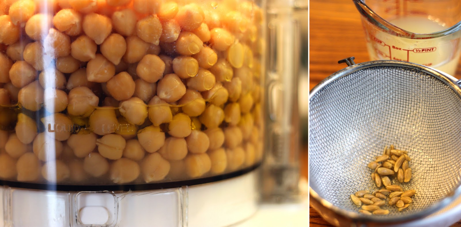 Immersion blender hummus recipe dried, immersion blender vegan recipes