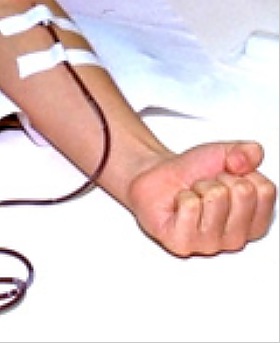 [sangue%202.jpg]