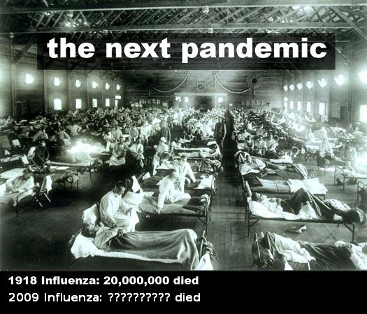 http://3.bp.blogspot.com/_CwJpUiT_HOI/SfTMtZZ7Y8I/AAAAAAAABvg/f3ZMBd9GyBA/S1600-R/next-pandemic+2009.JPG