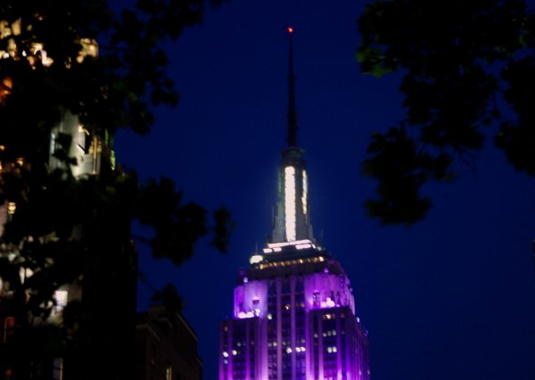 [ESBpurple.jpg]