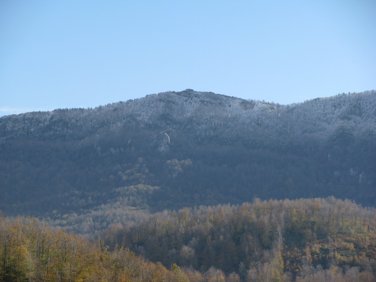 [Bartınlı+arıcı+8688.jpg]