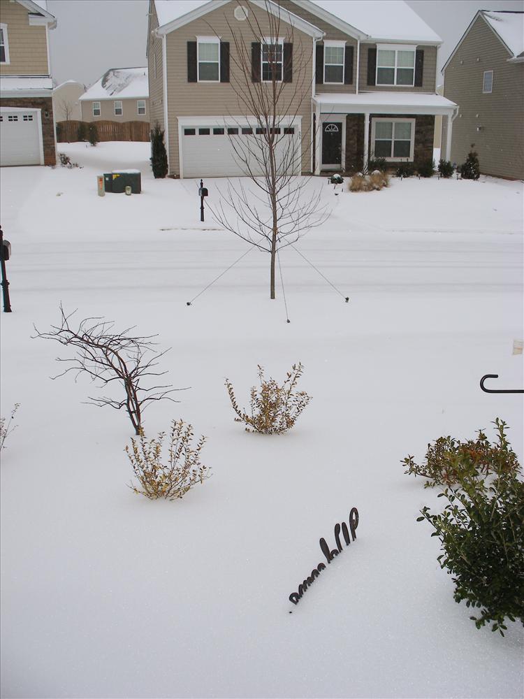 [resized-snow+weather+in+january+003revise.jpg]