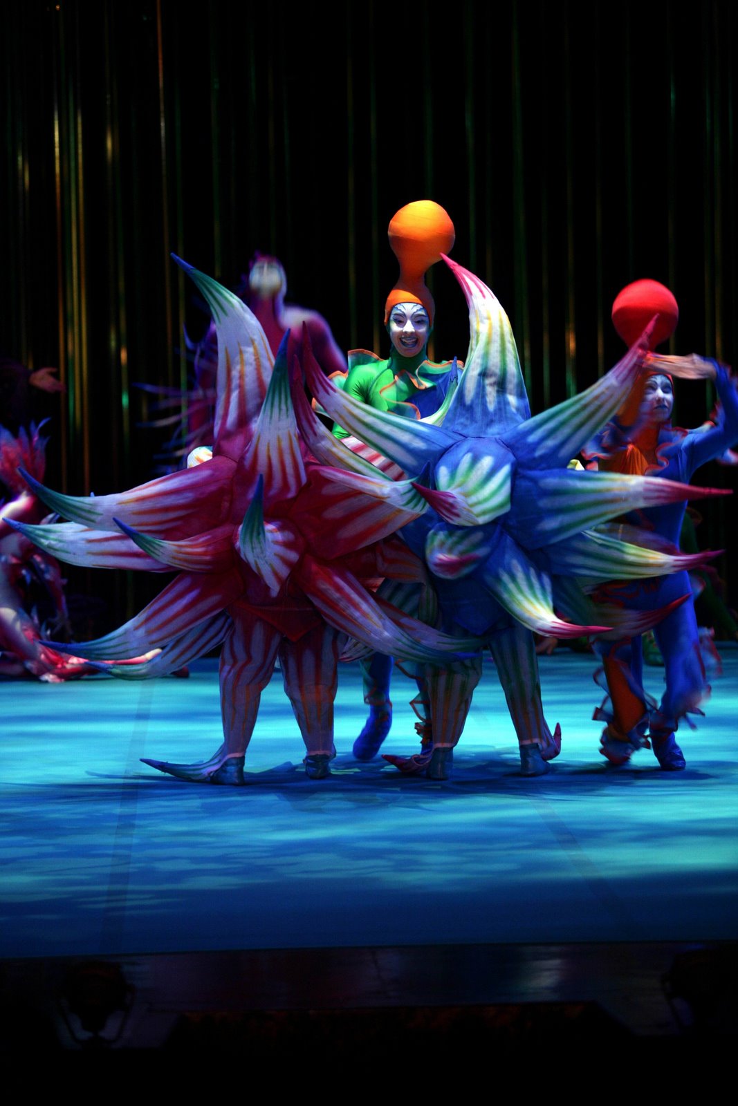 [varekai.jpg]