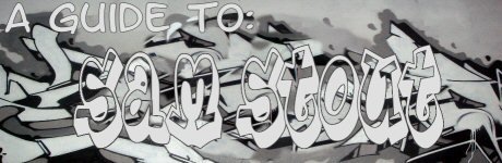 Sam Stout's World