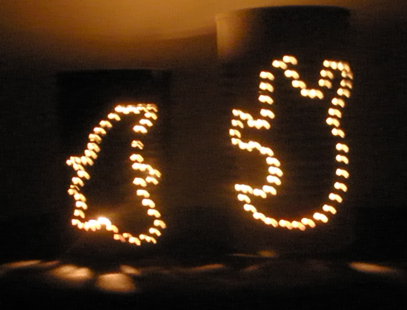 project tin can luminaries