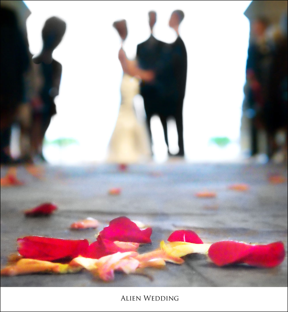 [Alien+WeddingBl.jpg]