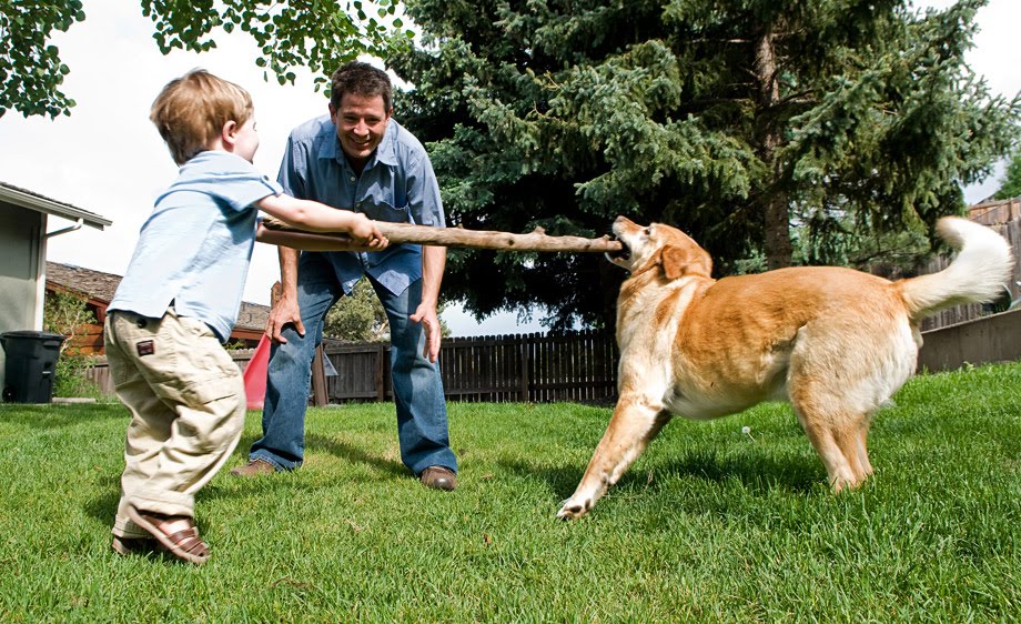 [boy+and+father+with+dog.jpg]