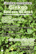 Portes Ouvertes Ateliers Ginkgo, Troyes - 26 et 27 juin 2010