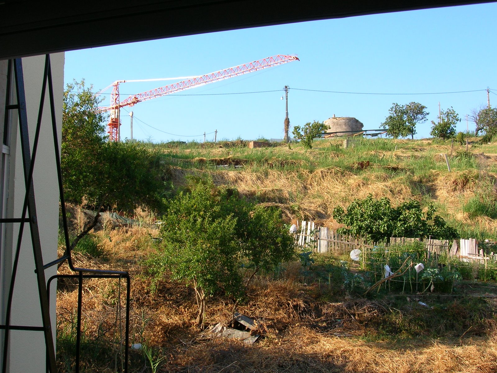 [DSCN2798.JPG]