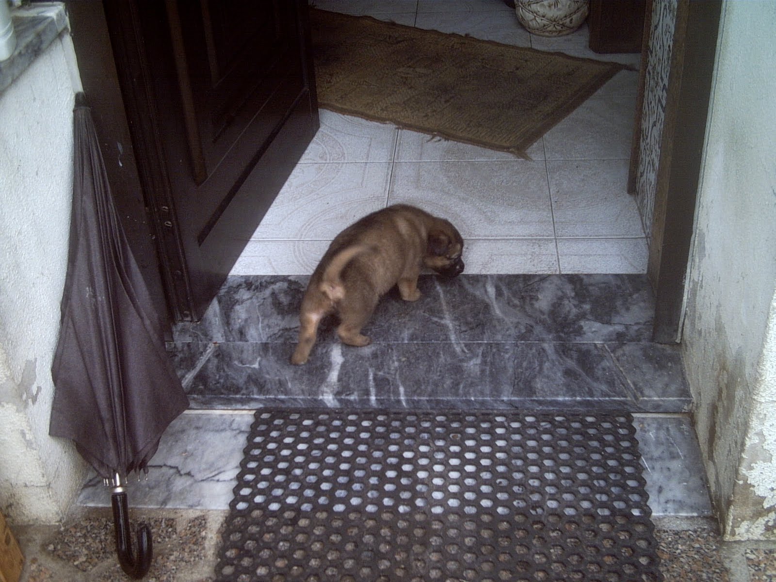 [ICAM0011.JPG]