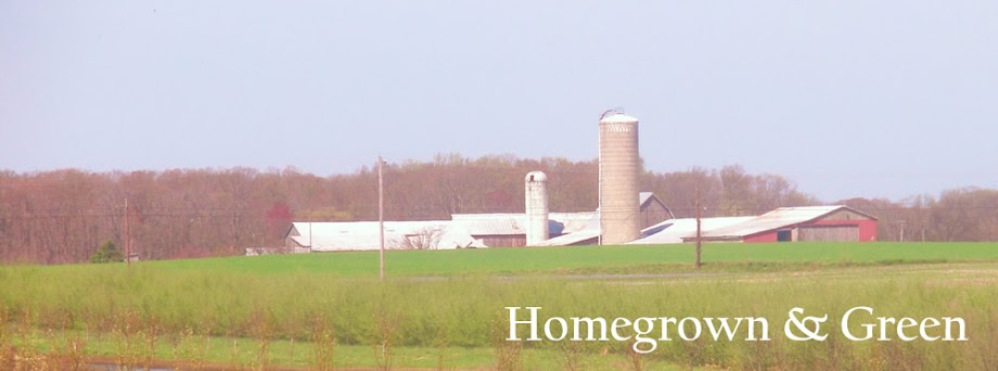 Homegrown and Green