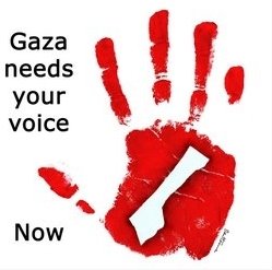[Gaza.JPG]