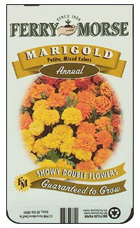 [marigold+seeds.jpg]