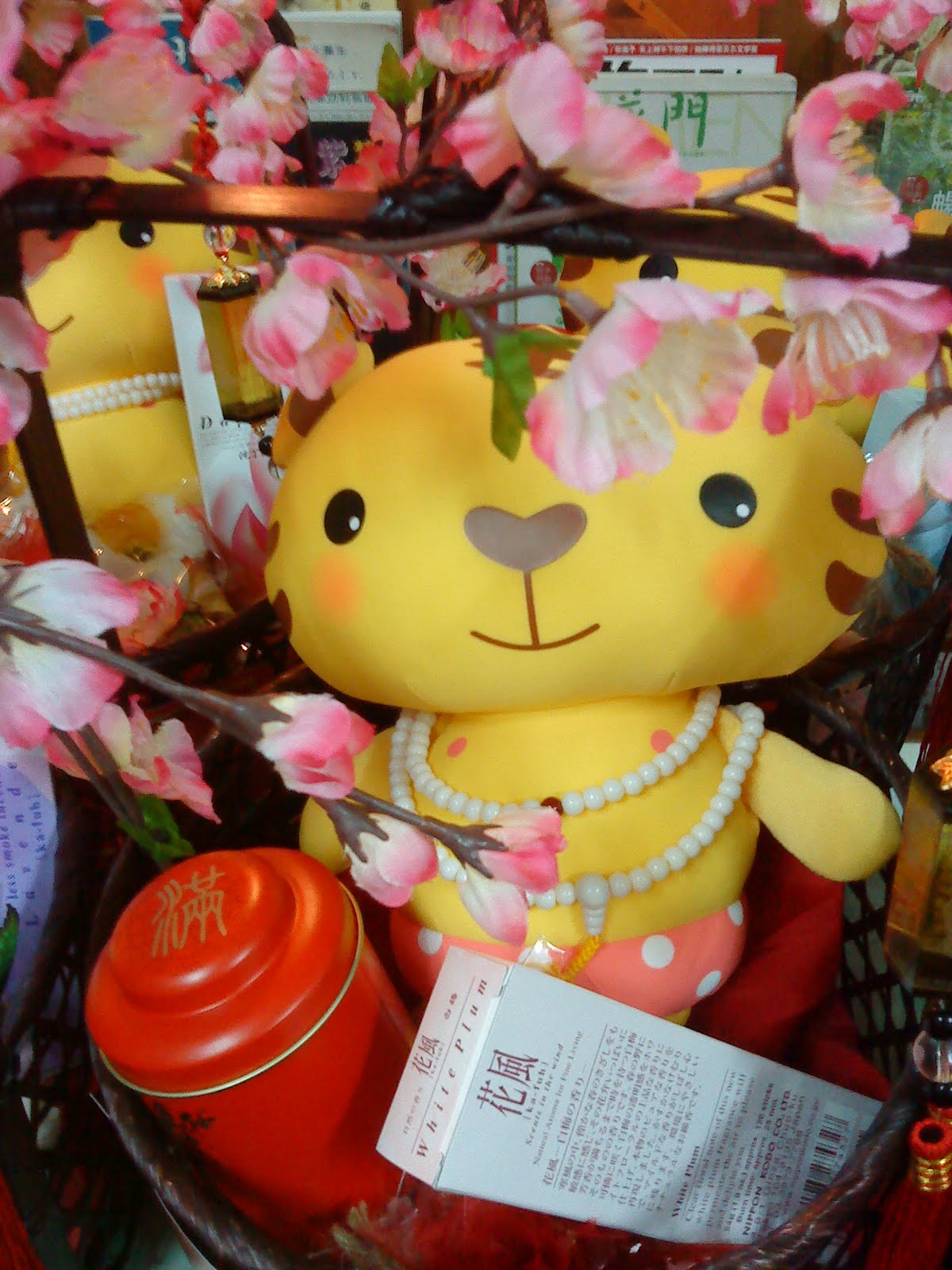 [DSC03663.JPG]