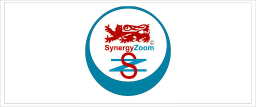 SynergyZoom