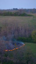 Burning the field