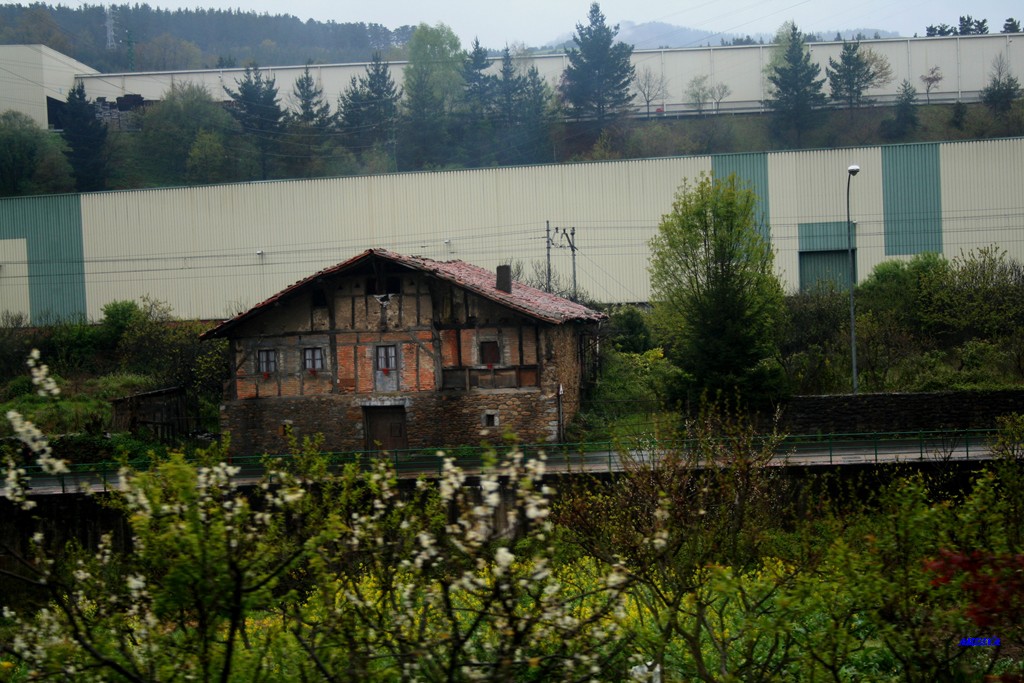[IMG_1949.JPG]