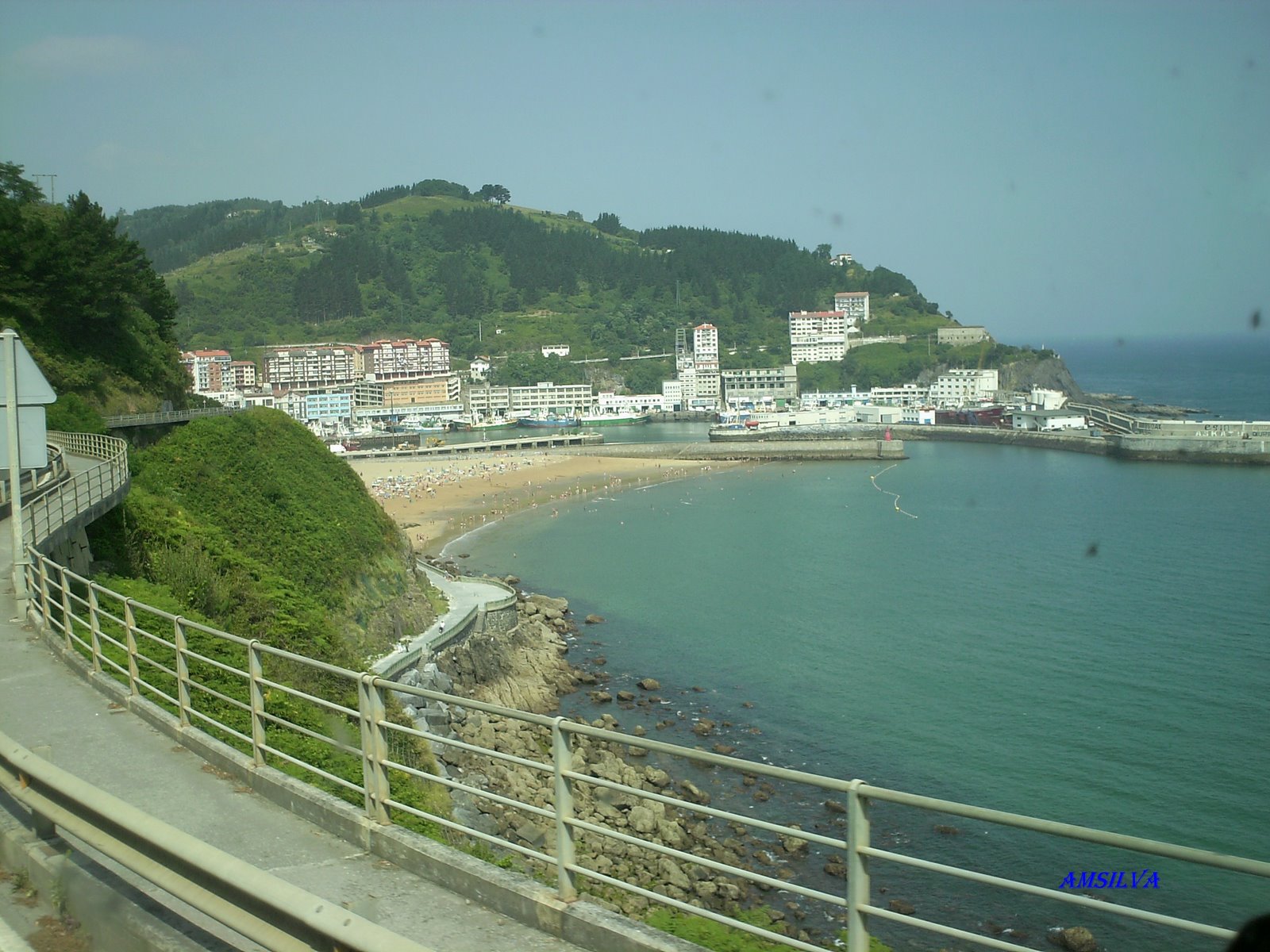 [PICT0142.JPG]