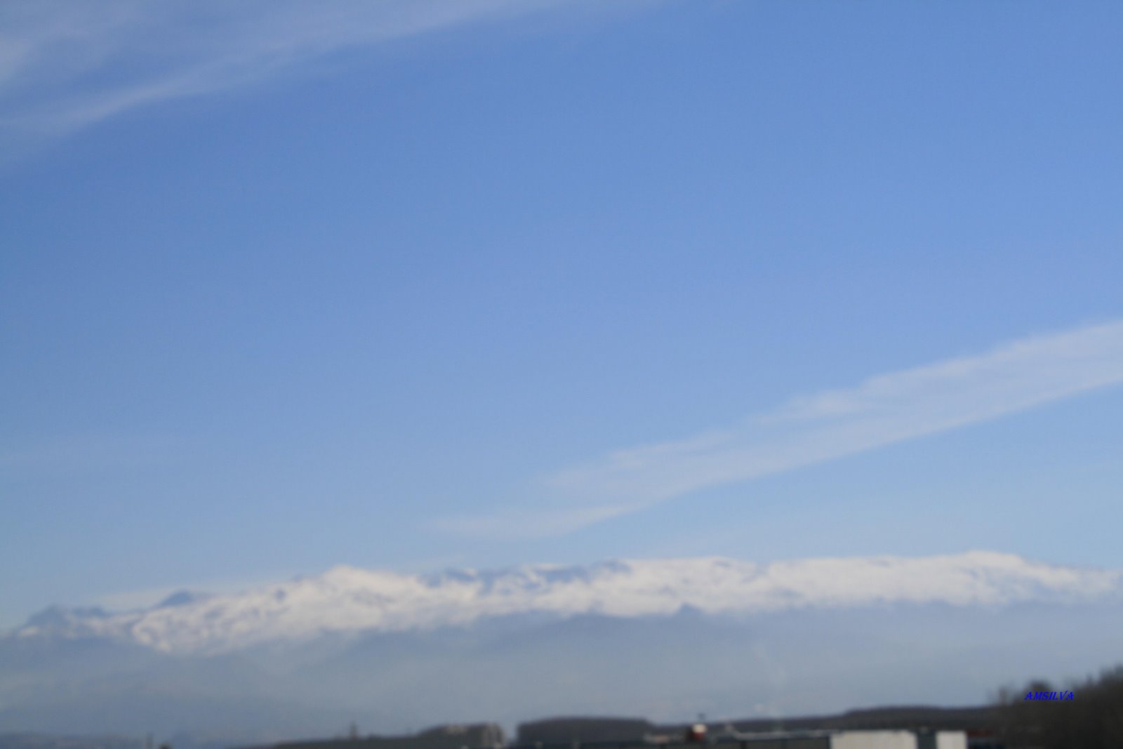 [IMG_0190.JPG]