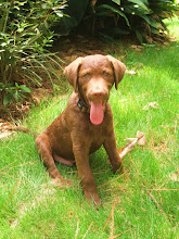Roscoe
