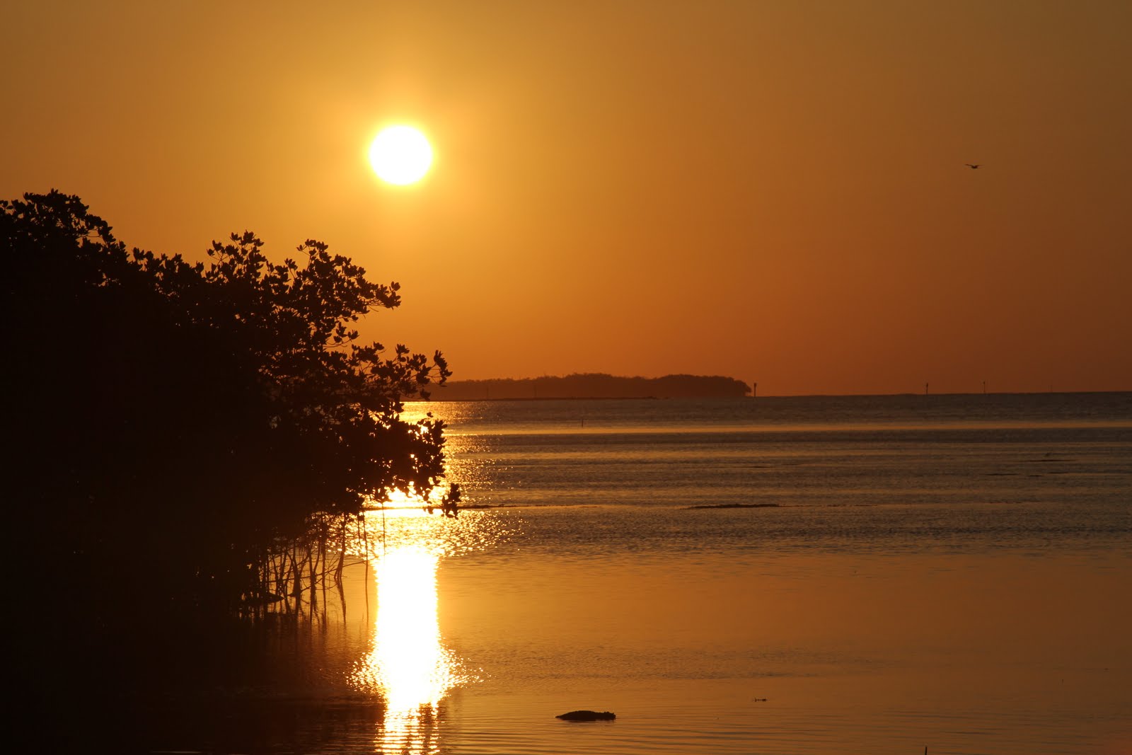 PJAMma Gramma Sunrise, Key West