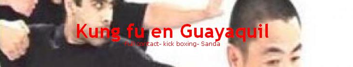 kung fu en Guayaquil