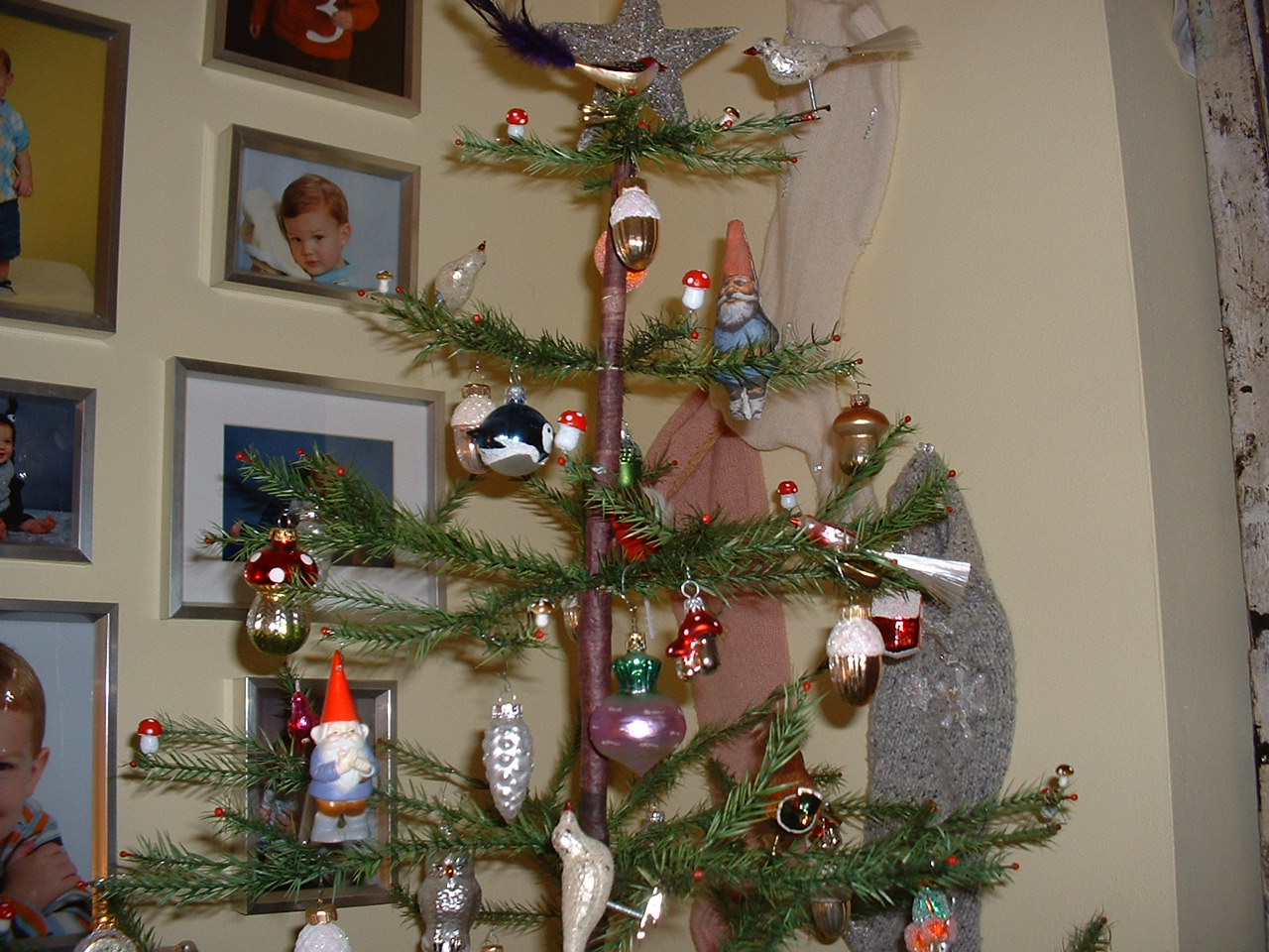 [woodlandtree+005.JPG]