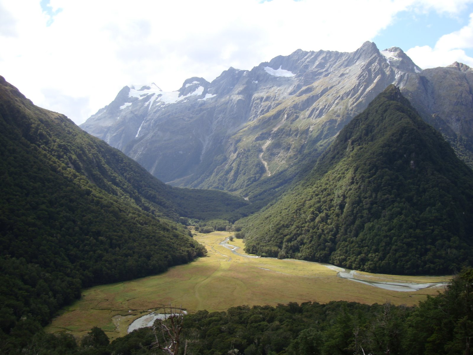 [DSC05747.JPG]