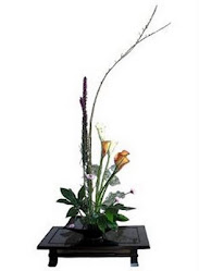 ¿Ya vieron el blog de Ramona?